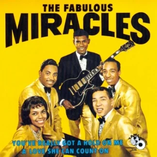 smokey robinson and the miracles - you've really got a hold on me remix