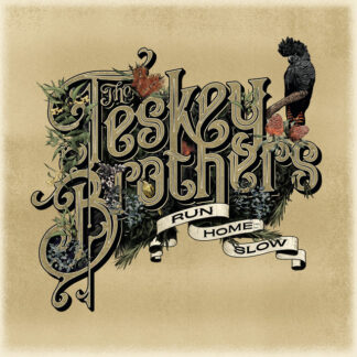 the teskey brothers - so caught up remix
