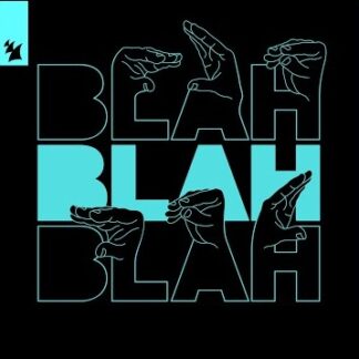 dj enjoythebeatz - blah blah remix