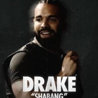 drake - shabang remix