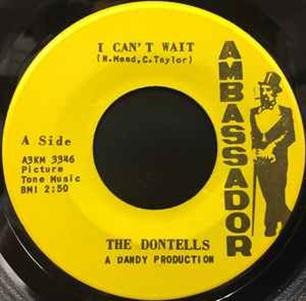 the dontells - i cant wait remix