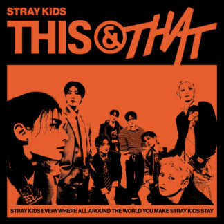 stray kids - this and that remix