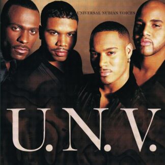 unv - so in love remix