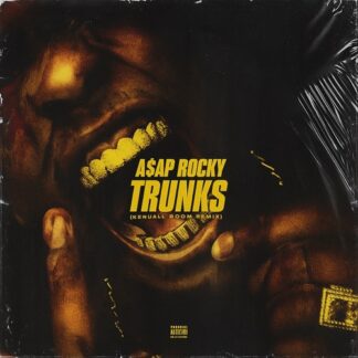 a$ap rocky - trunks remix